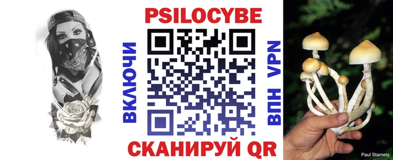 KRAKEN   Барыш  Галлюциногенные грибы мухоморы  как найти  